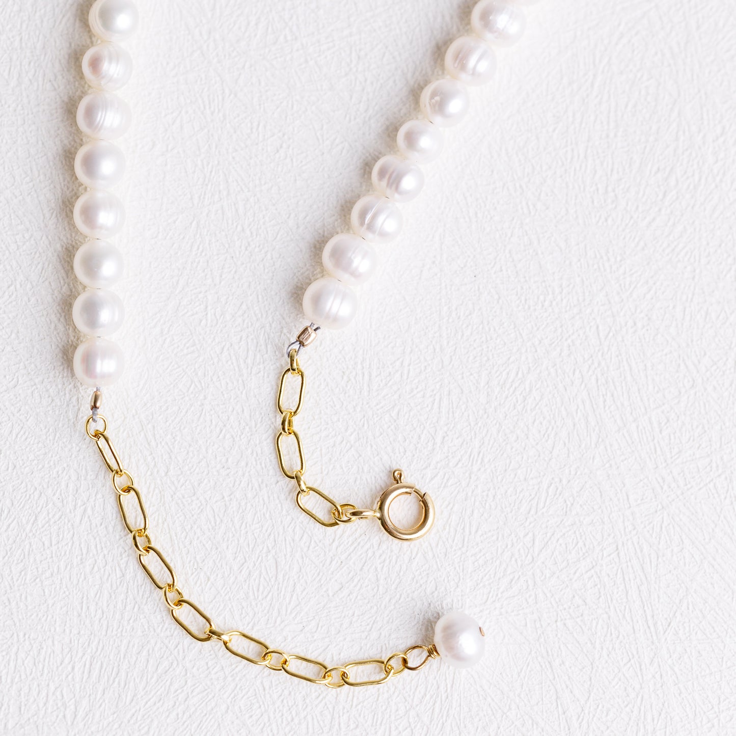 Small Oyster Necklace with Freshwater Pearl